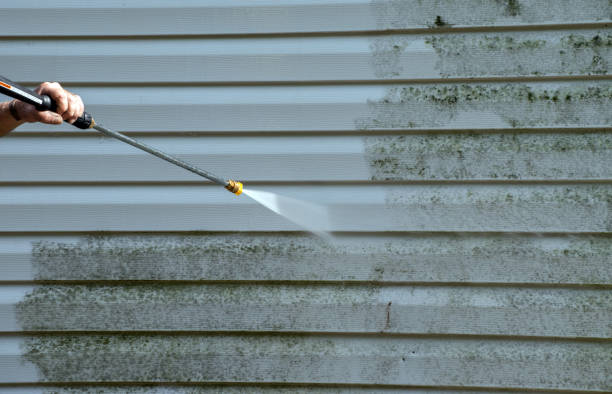 Best Sidewalk and Walkway Cleaning  in Fife, WA
