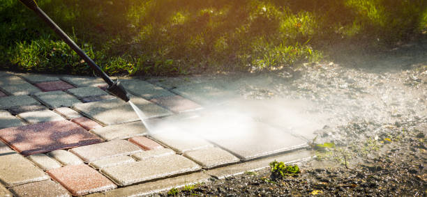 Best Soft Washing  in Fife, WA