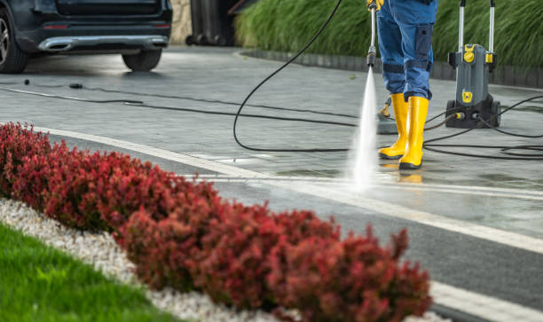 Best Roof Washing  in Fife, WA
